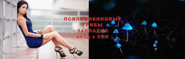 соль ск Богородицк