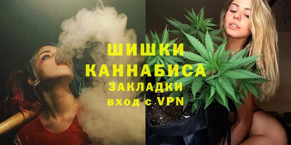 соль ск Богородицк