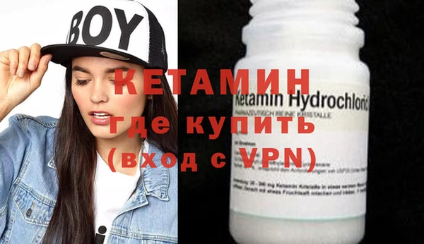 сатива Сясьстрой